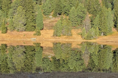 314404502_845298346625045_2719983250032335531_n