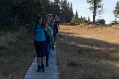 314503490_845298633291683_7336534766501034053_n