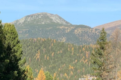 314951266_845298539958359_5420833627327923326_n